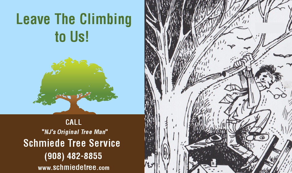 Leave the Climbing to Us - Original Cartoon Ad for Schmiede Tree Service Circa 1975