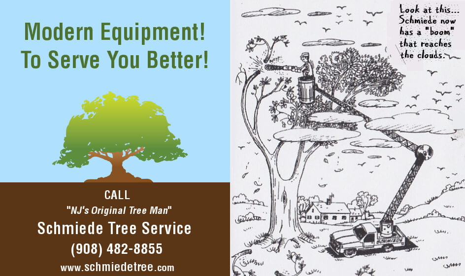 Modern Tree Cutting Equipment - Original Cartoon Ad for Schmiede Tree Service Circa 1974